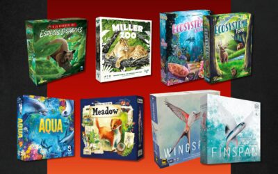 Des jeux pour célébrer la journée de la terre